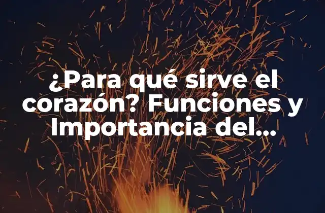 ¿para Qué Sirve el Corazón? Funciones y Importancia Del Corazón Humano