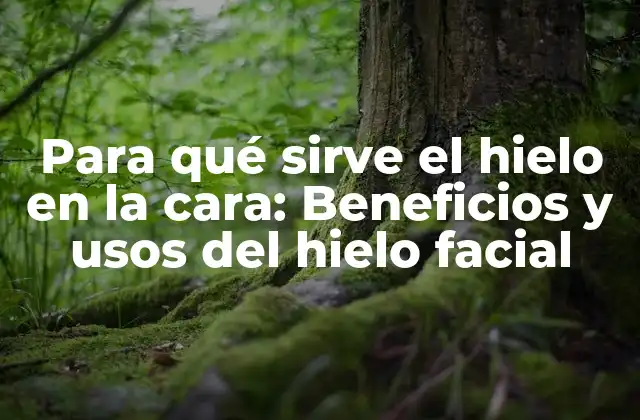 Para Qué Sirve el Hielo en la Cara: Beneficios y Usos Del Hielo Facial