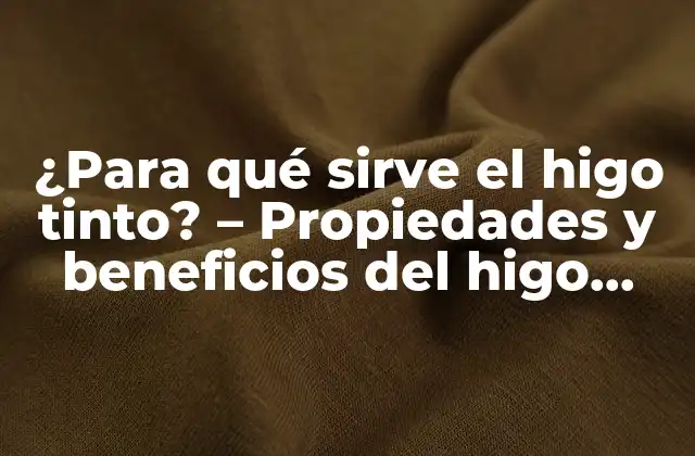 ¿para Qué Sirve el Higo Tinto? – Propiedades y Beneficios Del Higo Tinto