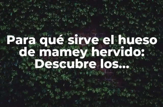 Para Qué Sirve el Hueso de Mamey Hervido: Descubre los Beneficios