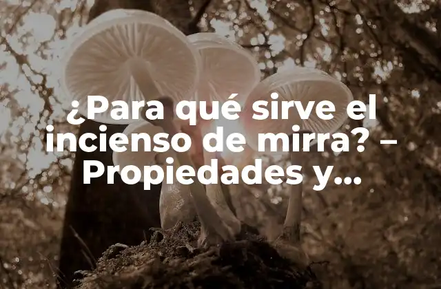¿para Qué Sirve el Incienso de Mirra? – Propiedades y Beneficios Del Incienso Natural
