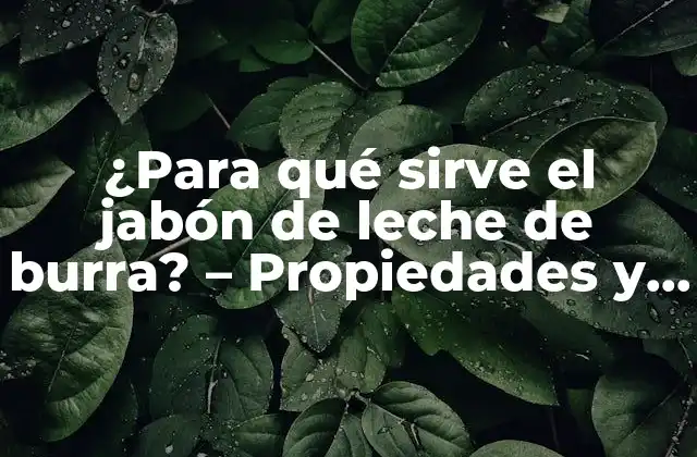 ¿para Qué Sirve el Jabón de Leche de Burra? – Propiedades y Beneficios