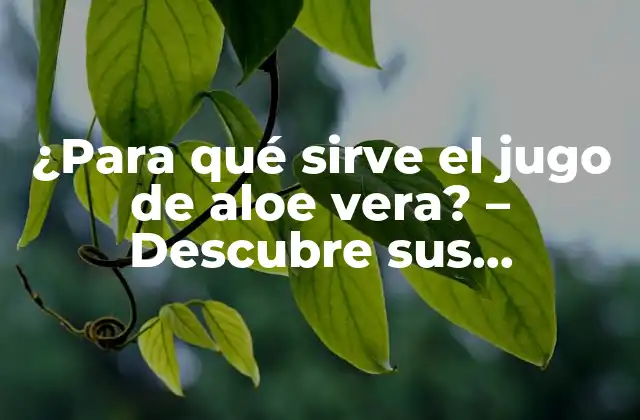 ¿para Qué Sirve el Jugo de Aloe Vera? – Descubre Sus Beneficios Naturales