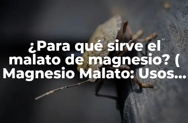 ¿Qué es el Malato de Magnesio?