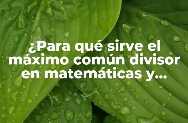¿para Qué Sirve el Máximo Común Divisor en Matemáticas y Programación?
