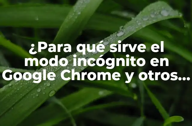 ¿para Qué Sirve el Modo Incógnito en Google Chrome y Otros Navegadores?
