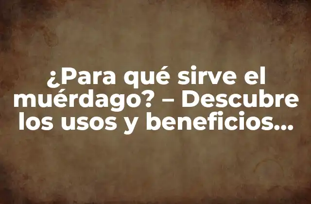 ¿para Qué Sirve el Muérdago? – Descubre los Usos y Beneficios de Esta Planta Milenaria