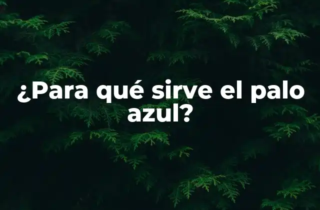 ¿para Qué Sirve el Palo Azul?