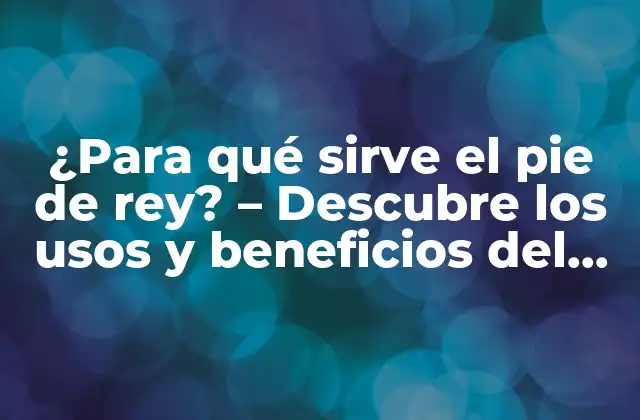 ¿para Qué Sirve el Pie de Rey? – Descubre los Usos y Beneficios Del Pie de Rey