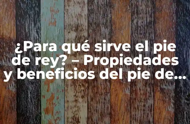 ¿para Qué Sirve el Pie de Rey? - Propiedades y Beneficios Del Pie de Rey 2 Propiedades medicinales del pie de rey - Un repaso a sus beneficios para la salud