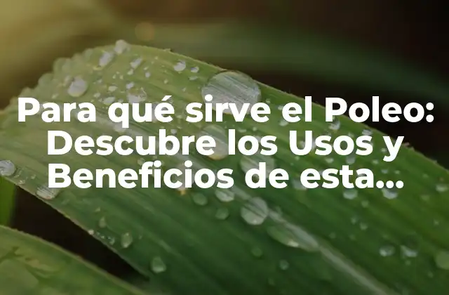 Para Qué Sirve el Poleo: Descubre los Usos y Beneficios de Esta Hierba Milagrosa