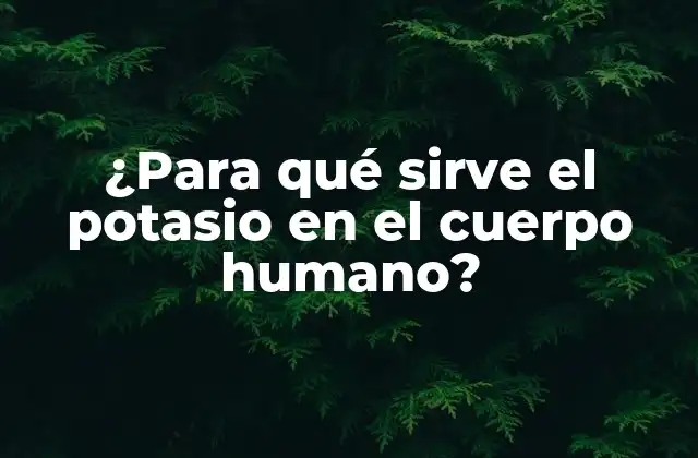 ¿para Qué Sirve el Potasio en el Cuerpo Humano?