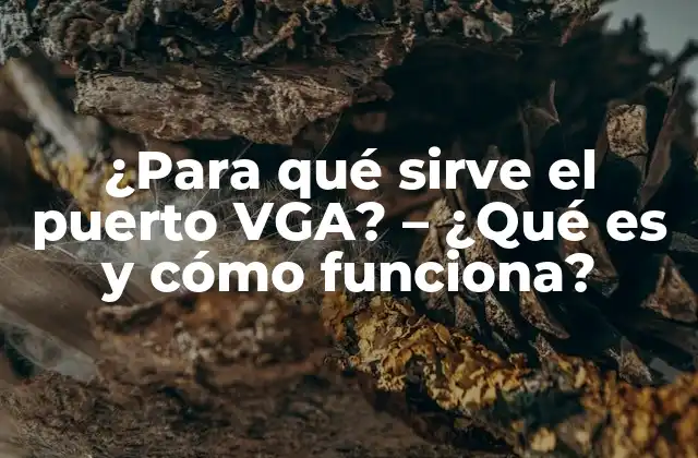 ¿para Qué Sirve el Puerto Vga? – ¿qué es y Cómo Funciona?