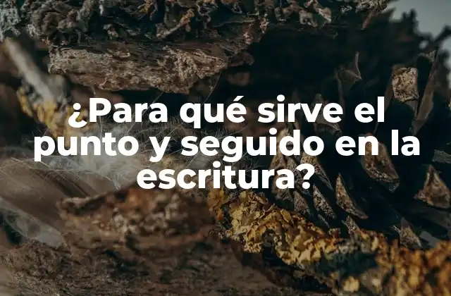 ¿para Qué Sirve el Punto y Seguido en la Escritura?