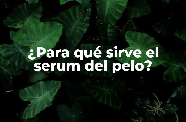 ¿para Qué Sirve el Serum Del Pelo? 2 ¿Qué es el serum del pelo?