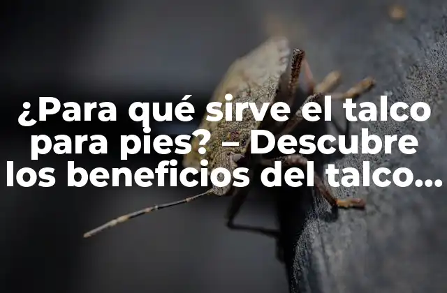 ¿para Qué Sirve el Talco para Pies? – Descubre los Beneficios Del Talco para el Cuidado de Tus Pies