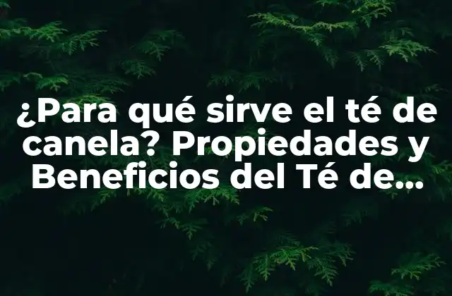 ¿para Qué Sirve el Té de Canela? Propiedades y Beneficios Del Té de Canela