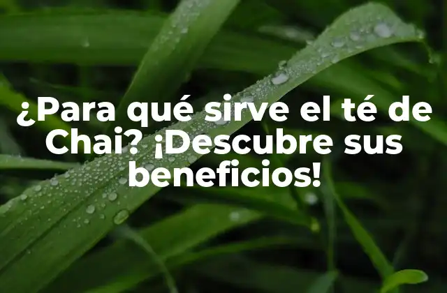 ¿para Qué Sirve el Té de Chai? ¡descubre Sus Beneficios!