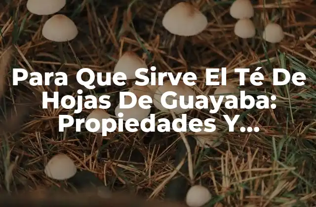 Para que Sirve el Té de Hojas de Guayaba: Propiedades y Beneficios