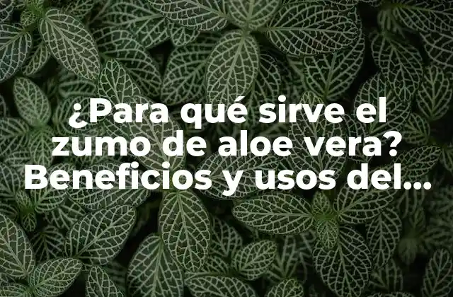 ¿para Qué Sirve el Zumo de Aloe Vera? Beneficios y Usos Del Jugo de Aloe Vera