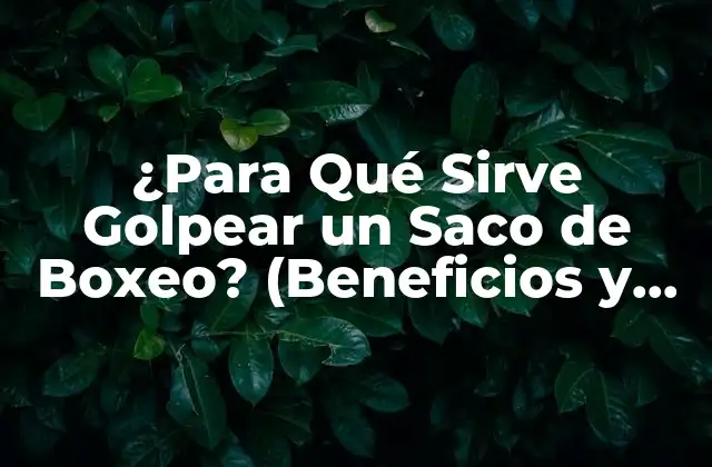 ¿para Qué Sirve Golpear un Saco de Boxeo? (beneficios y Ventajas)