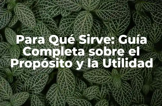 Para Qué Sirve: Guía Completa sobre el Propósito y la Utilidad