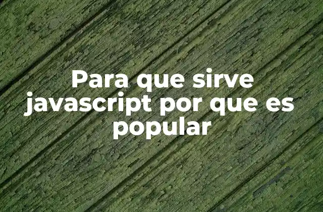 Para que Sirve Javascript por que es Popular