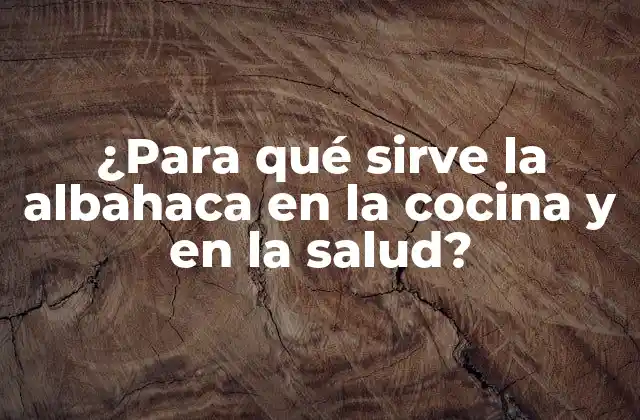 ¿para Qué Sirve la Albahaca en la Cocina y en la Salud?