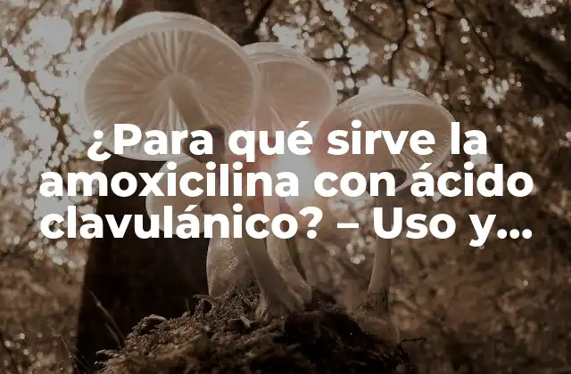 ¿para Qué Sirve la Amoxicilina con Ácido Clavulánico? – Uso y Beneficios