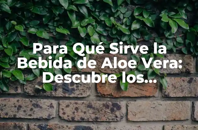 Para Qué Sirve la Bebida de Aloe Vera: Descubre los Beneficios 2 Propiedades Medicinales del Aloe Vera