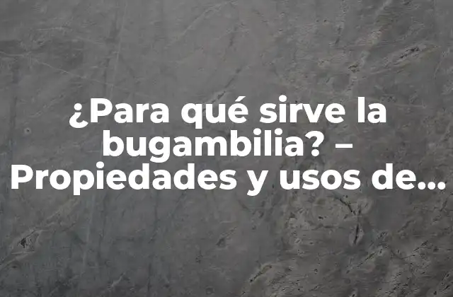 ¿para Qué Sirve la Bugambilia? – Propiedades y Usos de la Flor de la Pasión