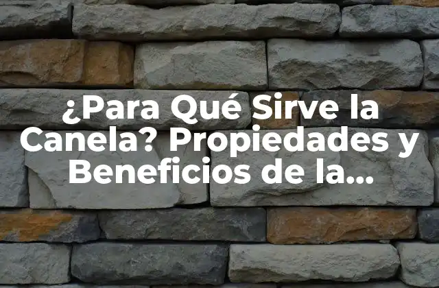 ¿para Qué Sirve la Canela? Propiedades y Beneficios de la Especie