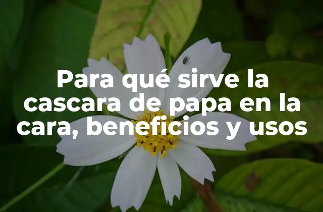 Para Qué Sirve la Cascara de Papa en la Cara, Beneficios y Usos