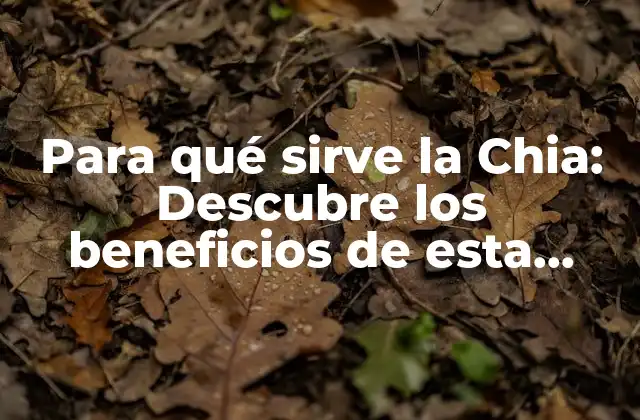 Para Qué Sirve la Chia: Descubre los Beneficios de Esta Semilla Milagrosa