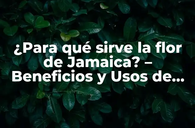 ¿para Qué Sirve la Flor de Jamaica? – Beneficios y Usos de Hibiscus Sabdariffa