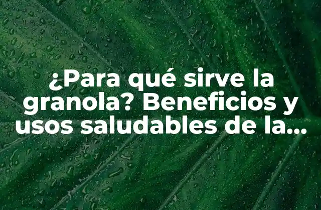¿para Qué Sirve la Granola? Beneficios y Usos Saludables de la Granola