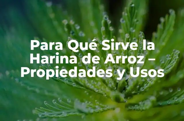 Para Qué Sirve la Harina de Arroz – Propiedades y Usos
