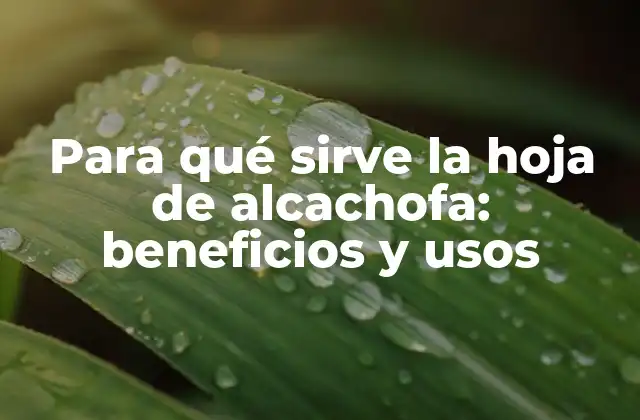 Para Qué Sirve la Hoja de Alcachofa: Beneficios y Usos