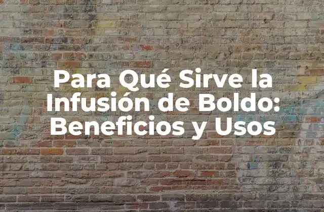 Para Qué Sirve la Infusión de Boldo: Beneficios y Usos