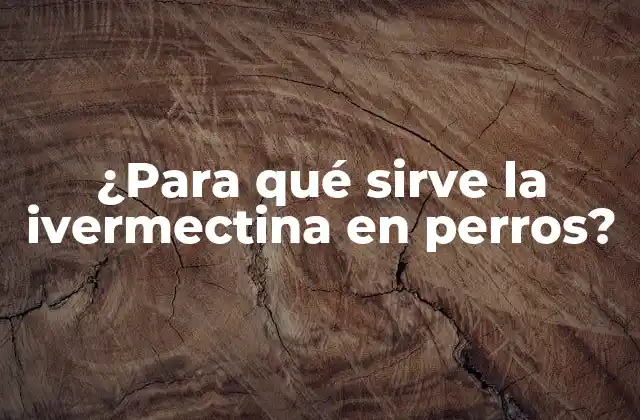 ¿para Qué Sirve la Ivermectina en Perros?