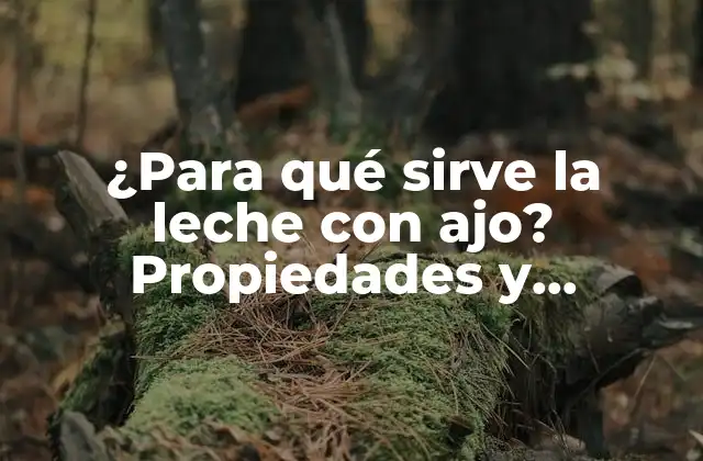 ¿para Qué Sirve la Leche con Ajo? Propiedades y Beneficios