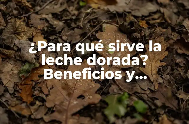 ¿para Qué Sirve la Leche Dorada? Beneficios y Propiedades de la Leche de Turmeric