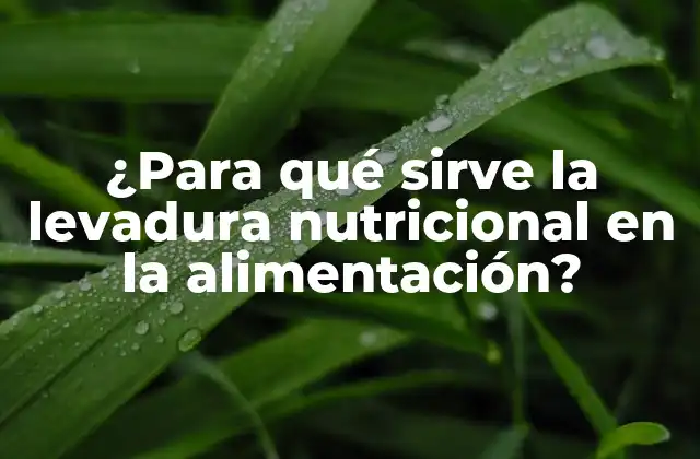 ¿para Qué Sirve la Levadura Nutricional en la Alimentación?