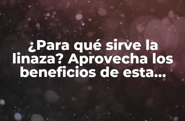 ¿para Qué Sirve la Linaza? Aprovecha los Beneficios de Esta Semilla Milenaria