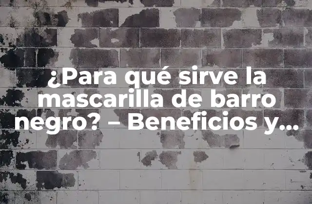 ¿para Qué Sirve la Mascarilla de Barro Negro? – Beneficios y Usos