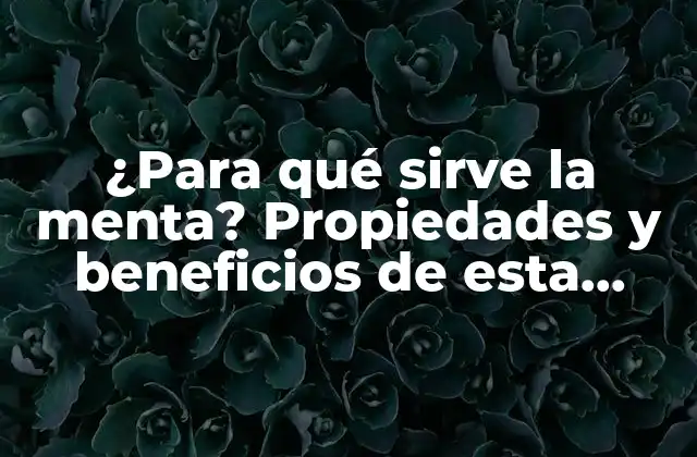 ¿para Qué Sirve la Menta? Propiedades y Beneficios de Esta Hierba Natural