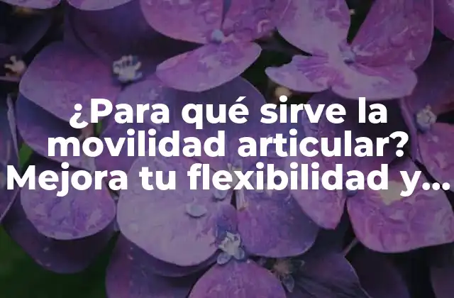 ¿para Qué Sirve la Movilidad Articular? Mejora Tu Flexibilidad y Función