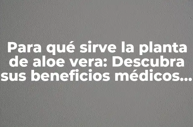 Para Qué Sirve la Planta de Aloe Vera: Descubra Sus Beneficios Médicos y Cosméticos