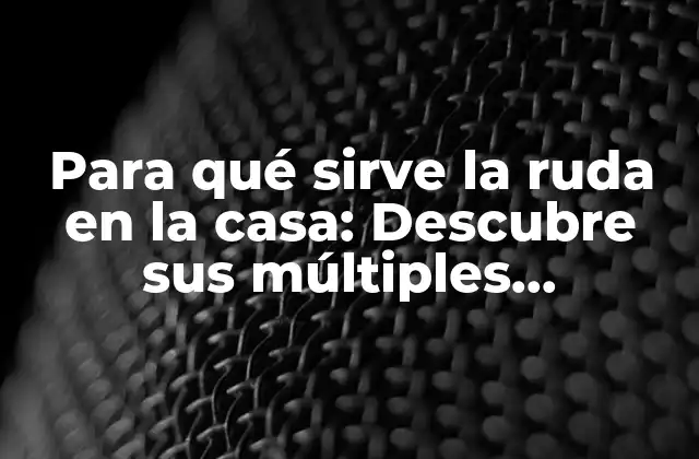 Para Qué Sirve la Ruda en la Casa: Descubre Sus Múltiples Beneficios