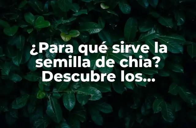 ¿para Qué Sirve la Semilla de Chia? Descubre los Beneficios y Usos de Esta Superalimentación